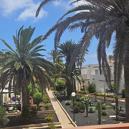 Alisios Playa Hotell